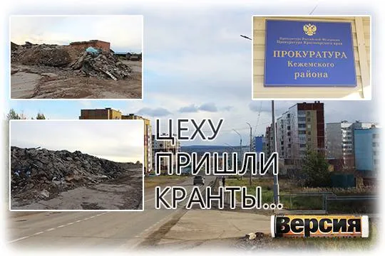 (фото: Дмитрий Голованов) 