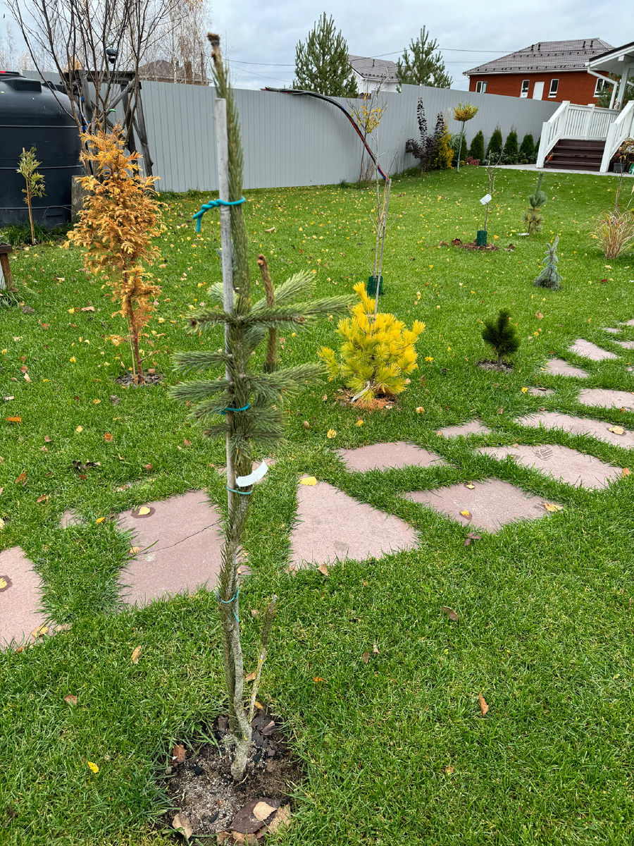 Моя змеюга)