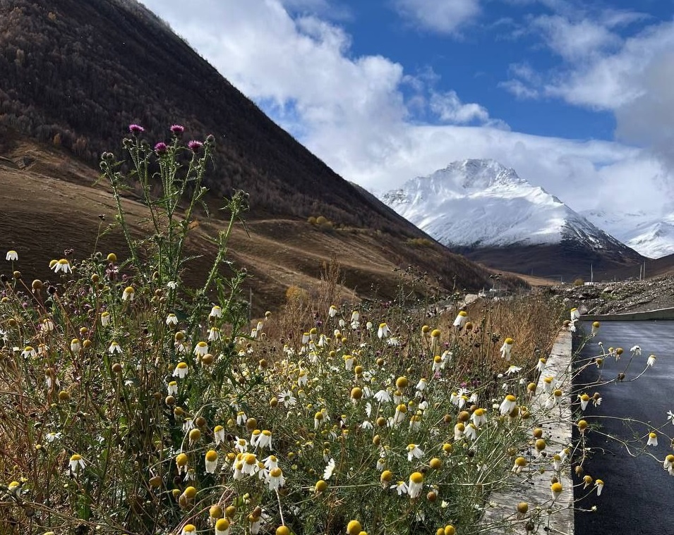 Фото: пресс-служба Кавказ.РФ 