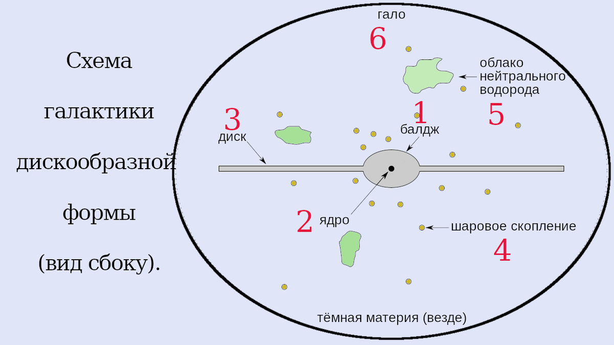Рисованная схема галактики дисковидной формы - вид сбоку (Википедия — публичный источник).