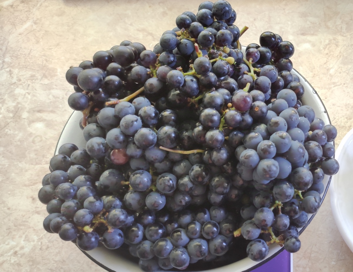 Левокумский