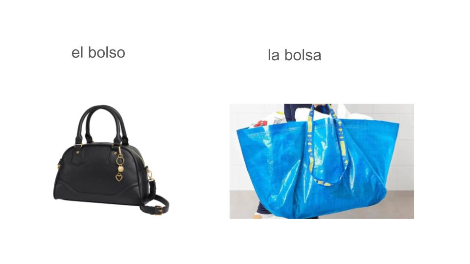 el bolso y la bolsa