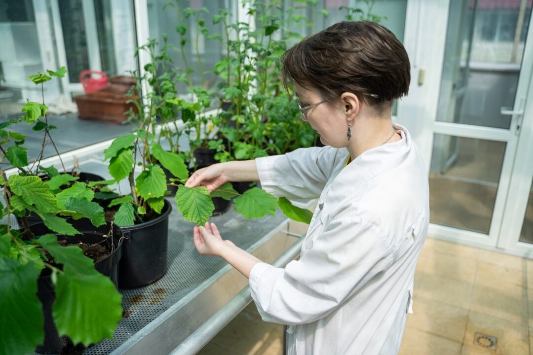 Фото: Александр Плонский / «Агроэксперт»