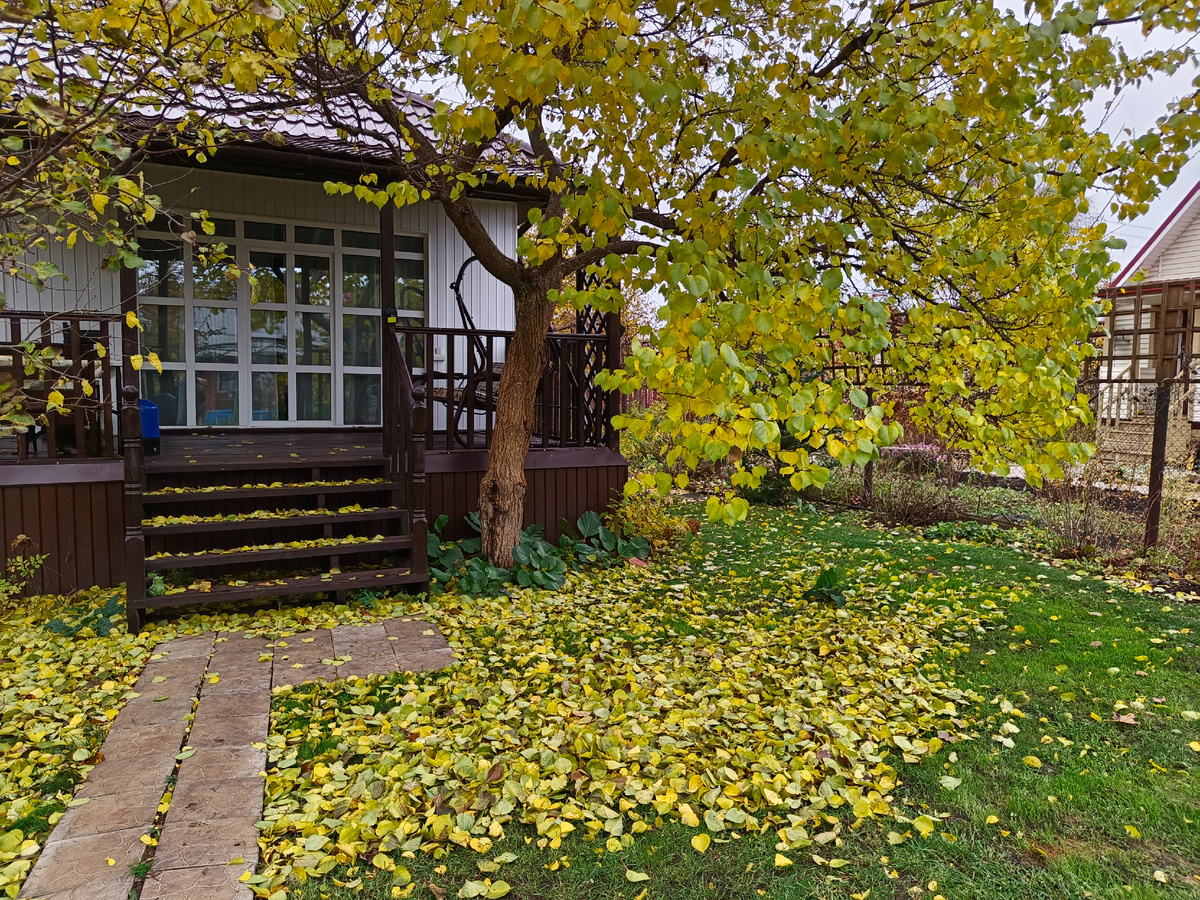 Осенний сад