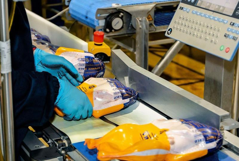 Фото сайта правительства РО