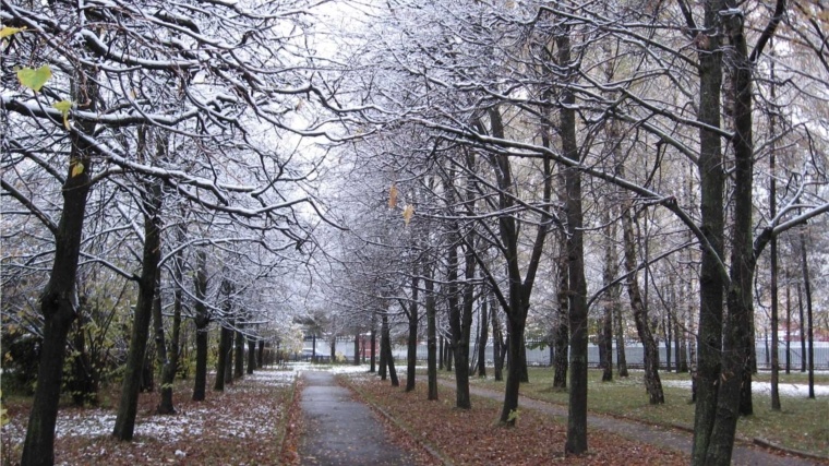 Фото из Яндекса