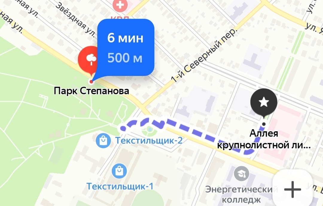 Путь от аллеи крупнолистной липы на улице Фролова до парка Степанова в Иваново