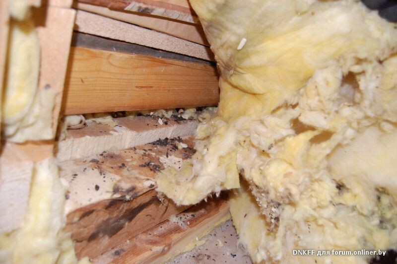 Следы присутствия грызунов