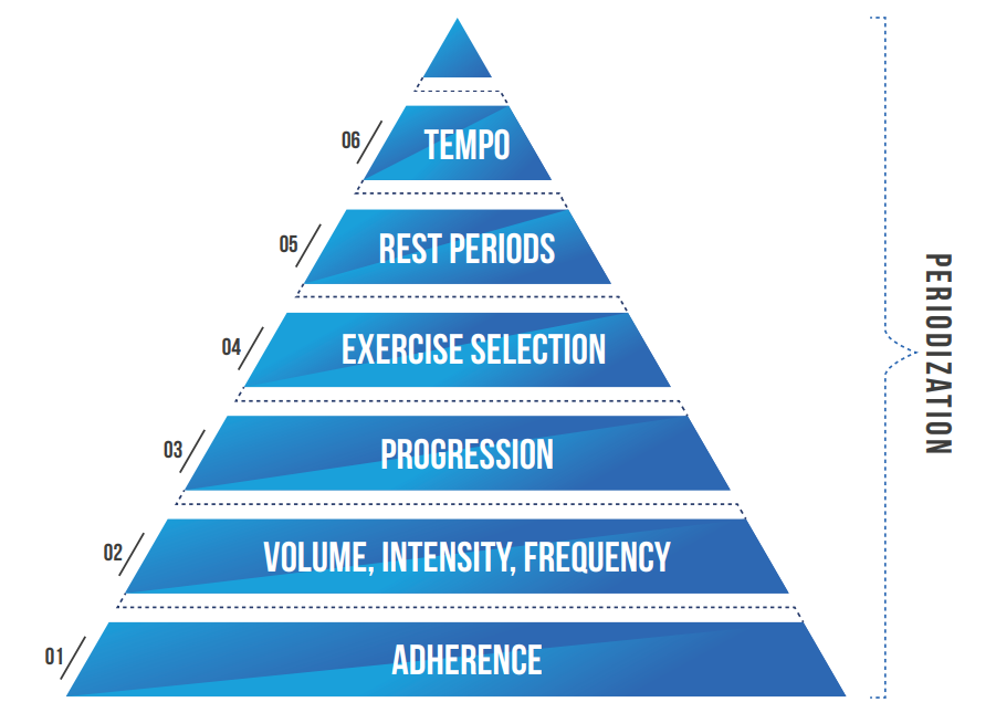 Пирамида Силового Тренинга Хелмса.