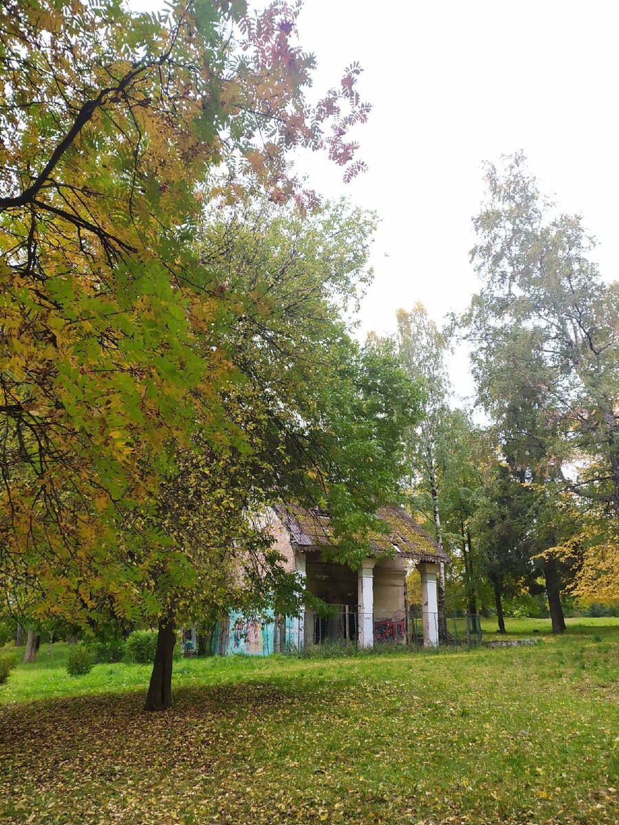 Листайте вправо, чтобы увидеть больше изображений