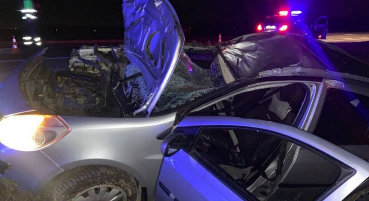 Наезд на лося приводит к тяжелым последствиям