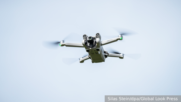     Фото: Silas Stein/dpa/Global Look Press   
 Текст: Дмитрий Зубарев