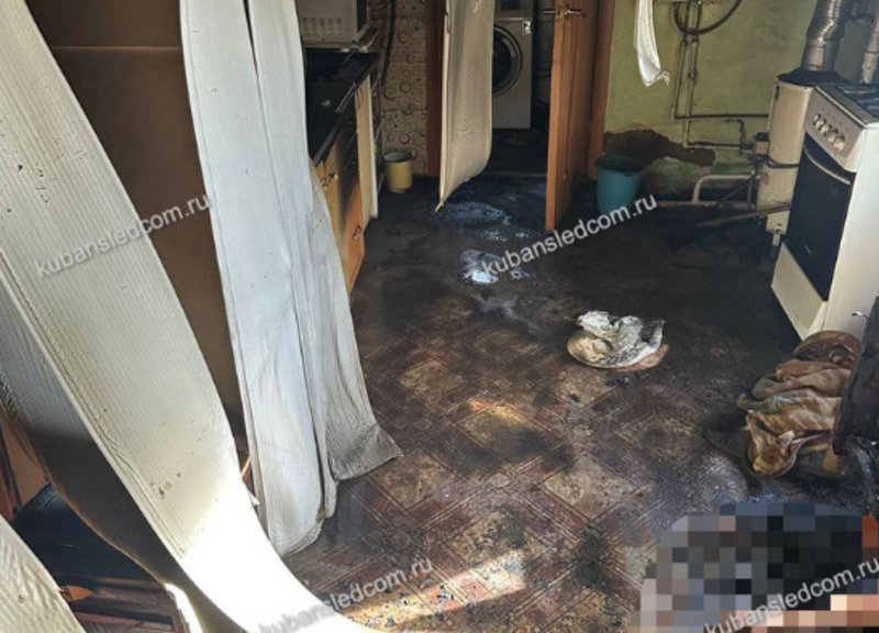    Фото: пресс-служба СУ СКР по Краснодарскому краю