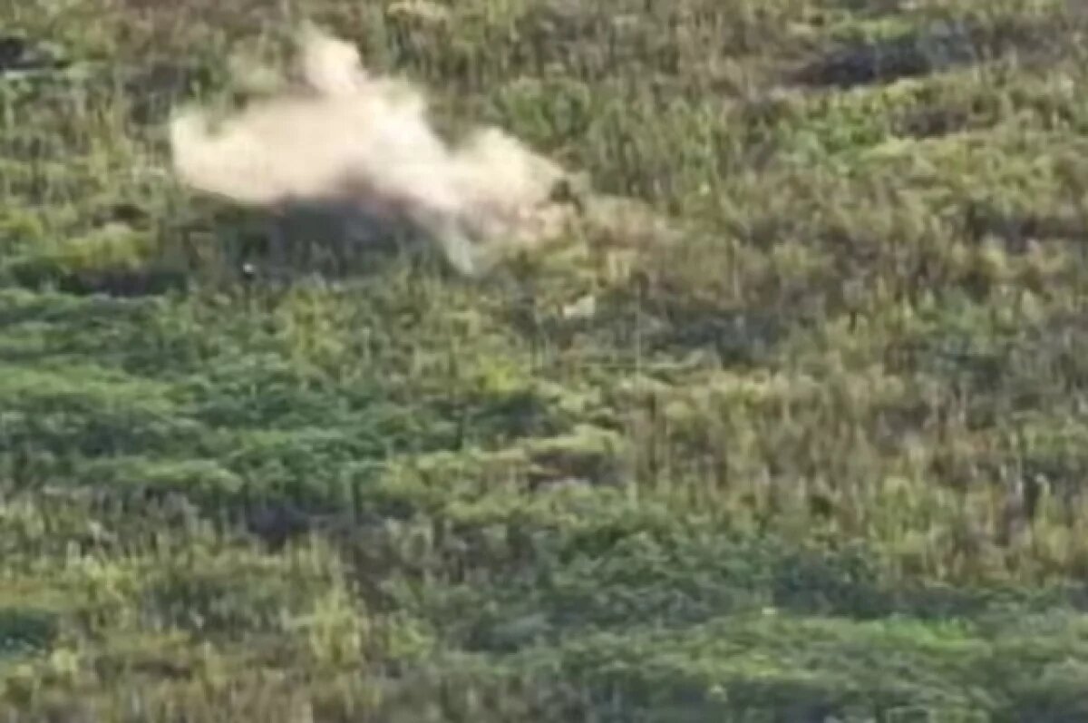    Спецназ «Ахмат» уничтожил с помощью дрона вэсэушника, который вёл пленного