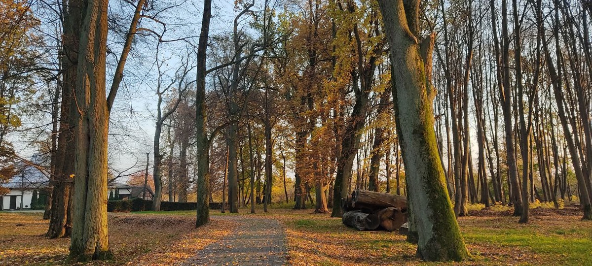 Усадьба.Орловка. Калининградская обл. 