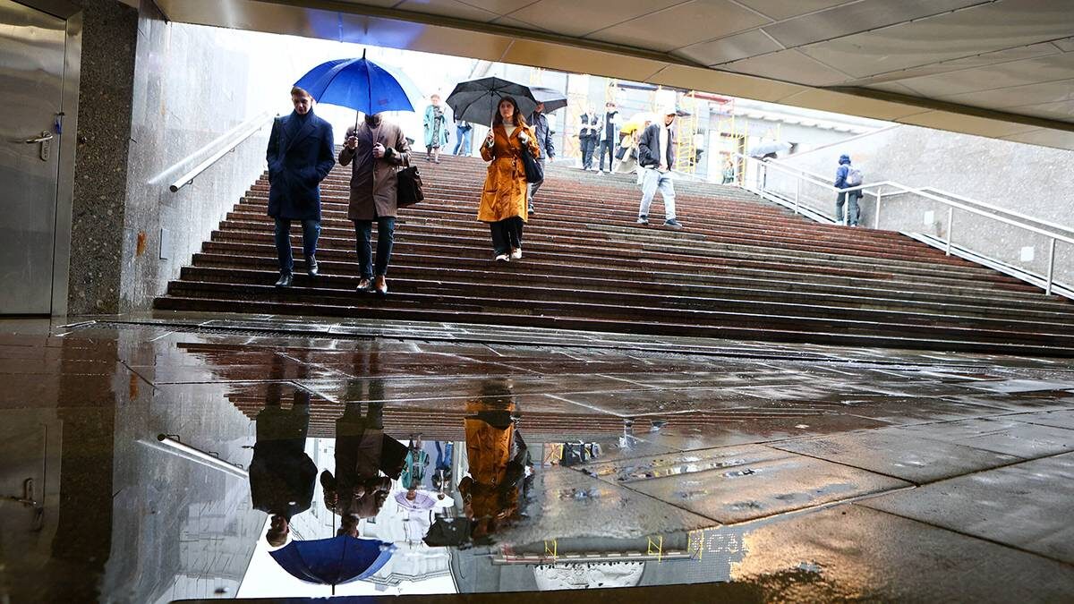    Фото: Ярослав Чингаев / АГН Москва