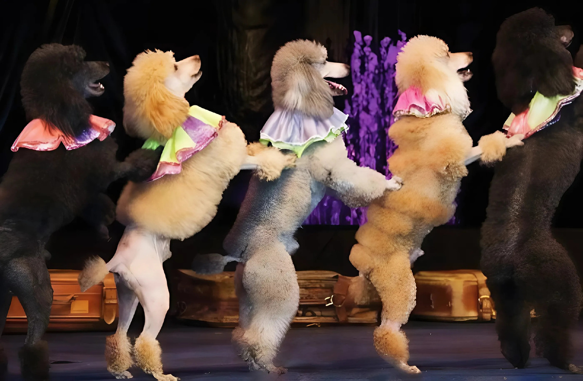 Шоу в ДК Яуза «Планета животных»