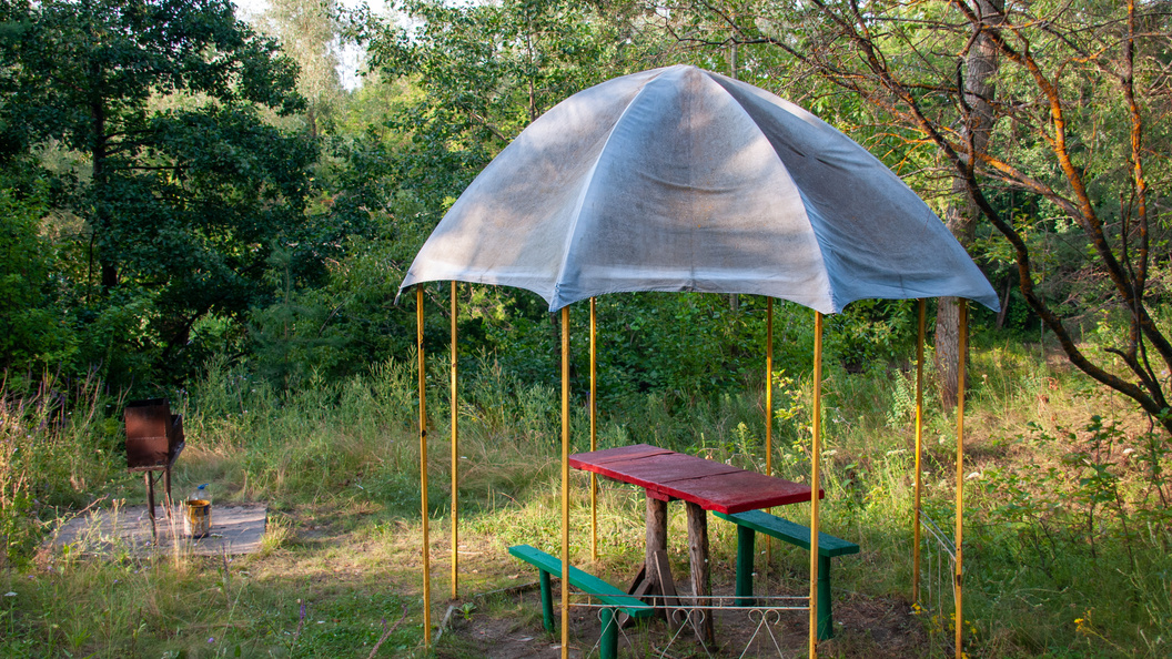    Фото: vetlana Vozmilova/Globallookpress