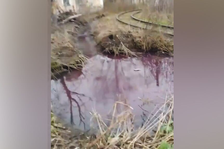     / Источник: ©Кадр из видео. Соцсети