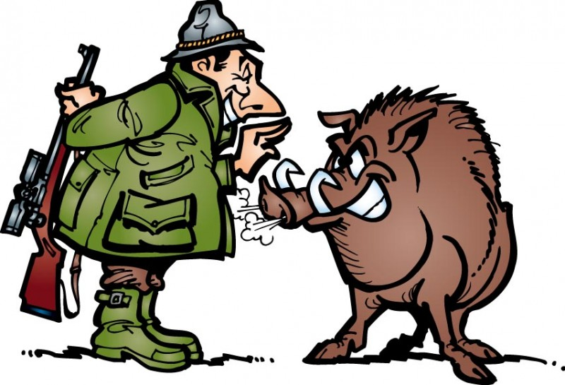 Картинка из Яндекса