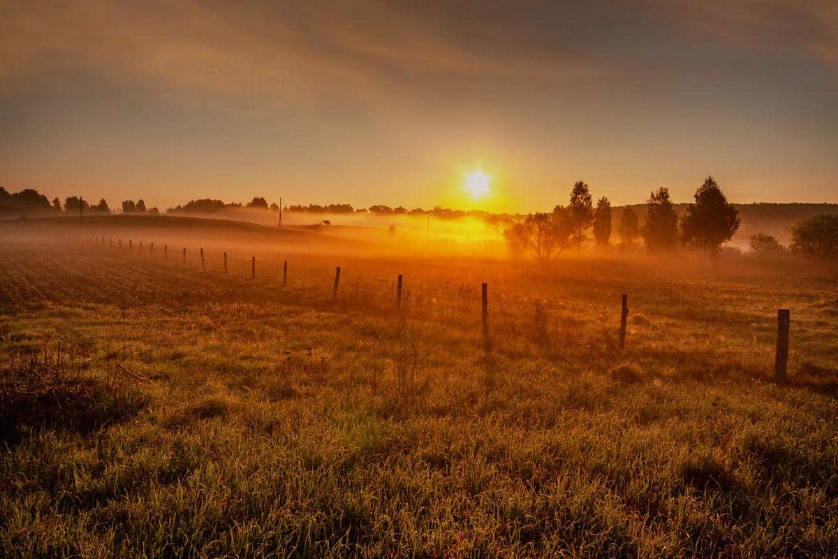 Источник фото: Яндекс картинки