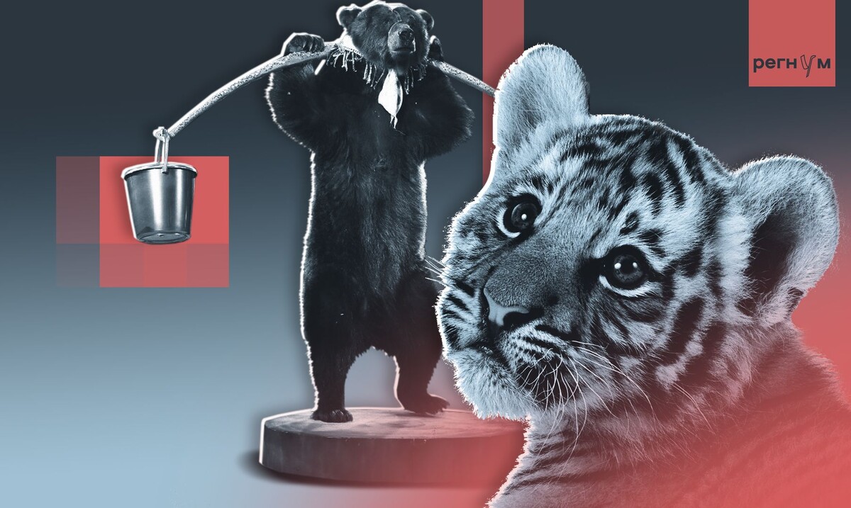     / Источник: © ИА Регнум