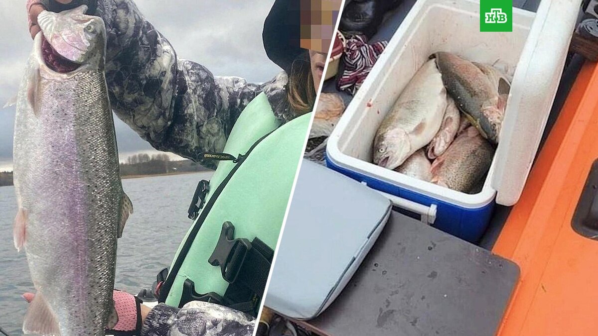    Фото: region53_vn / vk.com