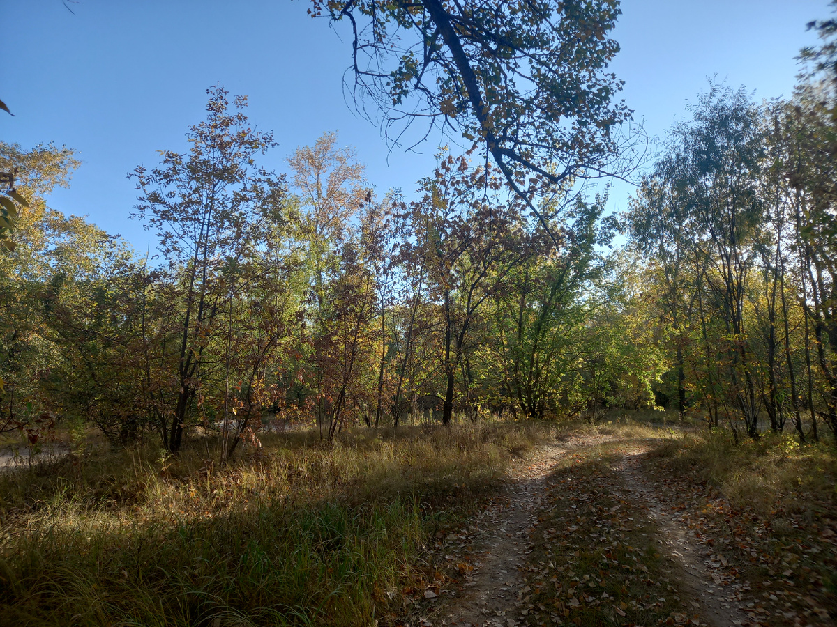 На дороге  'в осень'