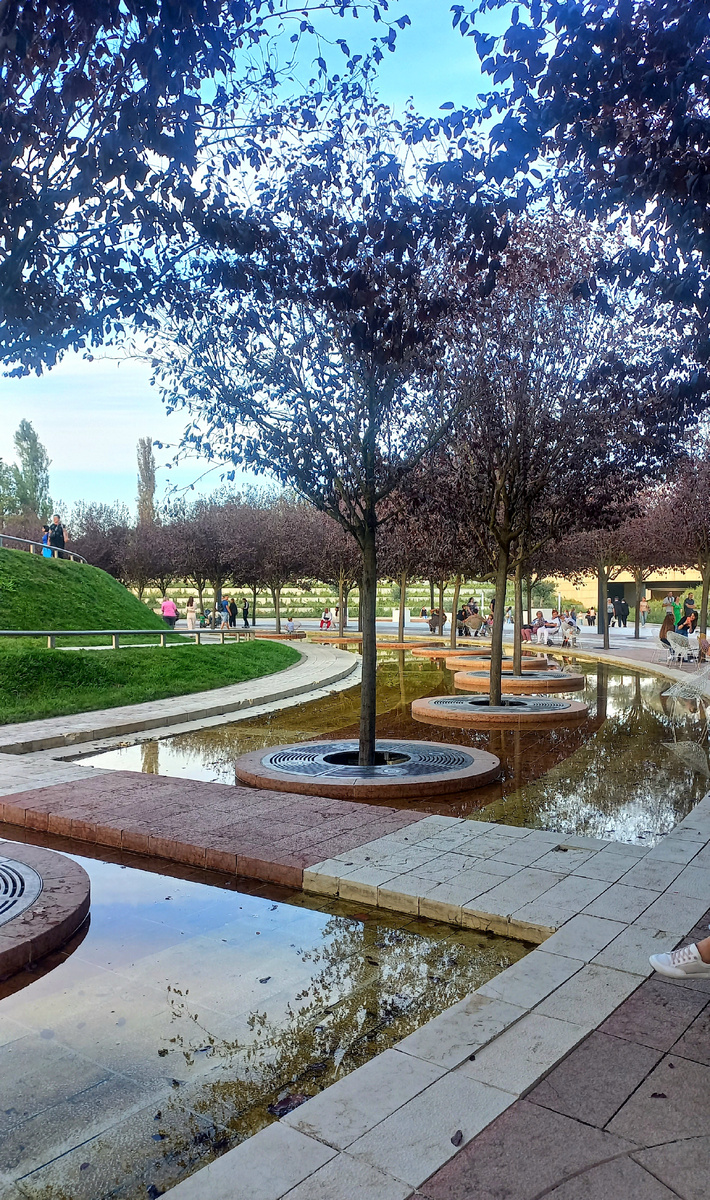 Парк Галицкого. Краснодар, 2024г