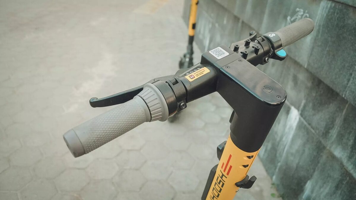     Источник: novostivolgograda.ru