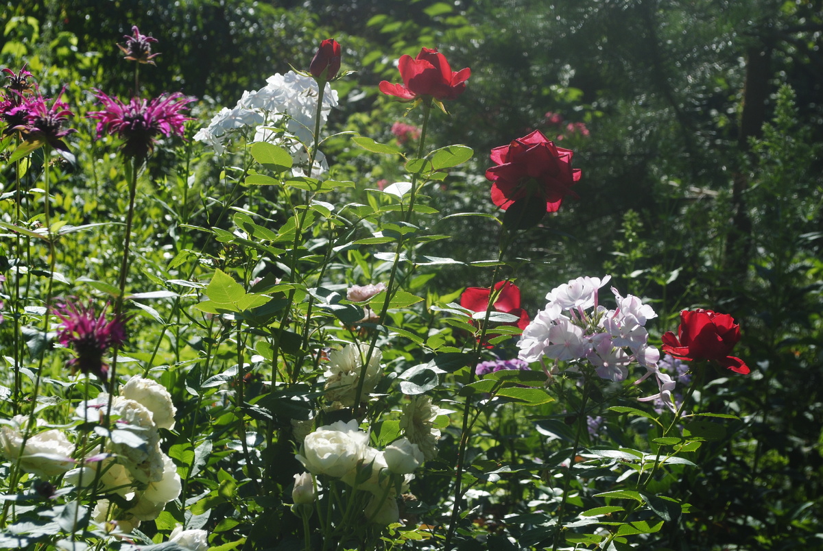 Как-то так у меня всё выглядит