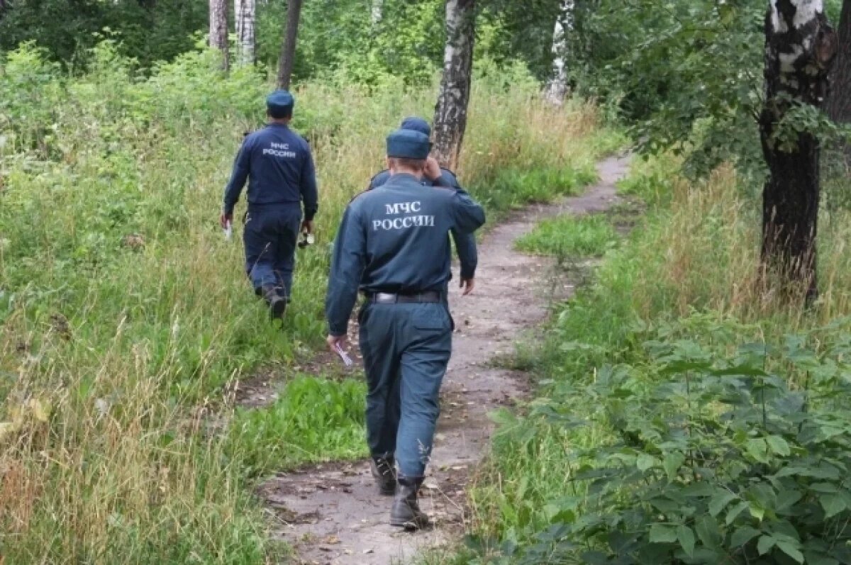    МЧС опровергло информацию о своем участии в поисках сбежавшей форели