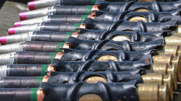 Фото: Bulkin Sergey/Global Look Press.