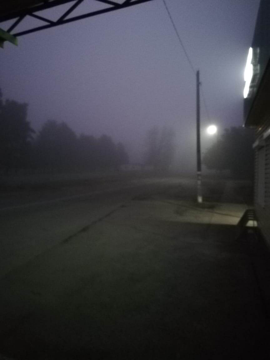 Утренняя туманная остановка