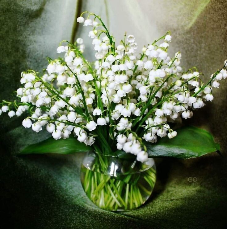 увидела изменения в муже