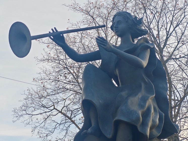     фото: мк в вологде