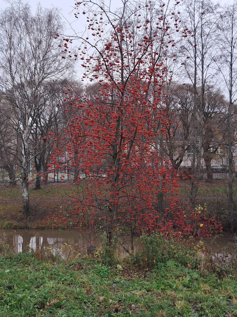Птицам раздолье! Фото автора 