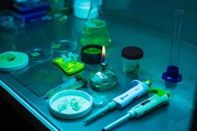     Фото: пресс-служба ВГУ