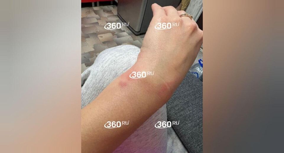     Телеканал «360»