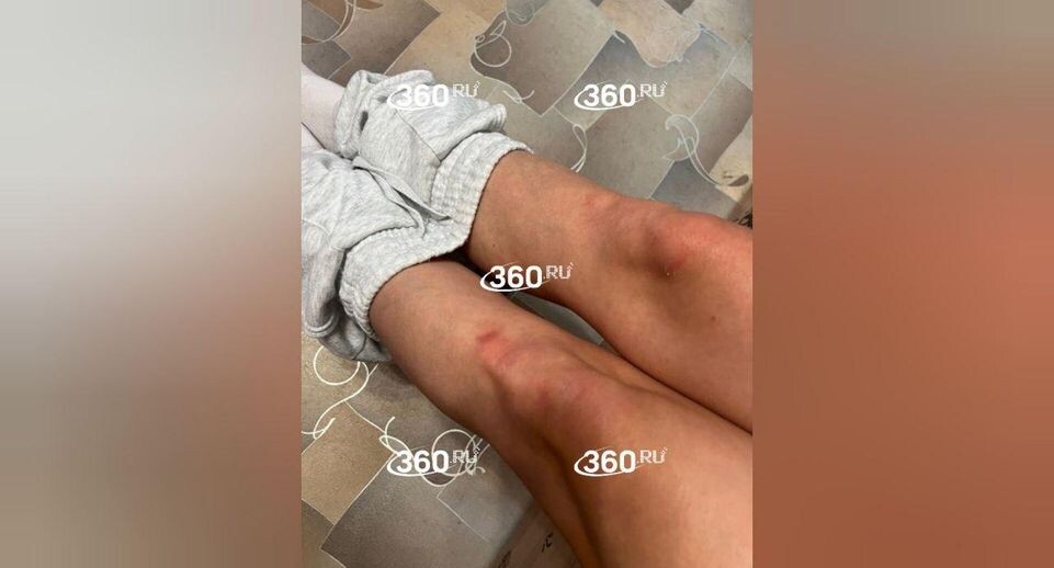     Телеканал «360»