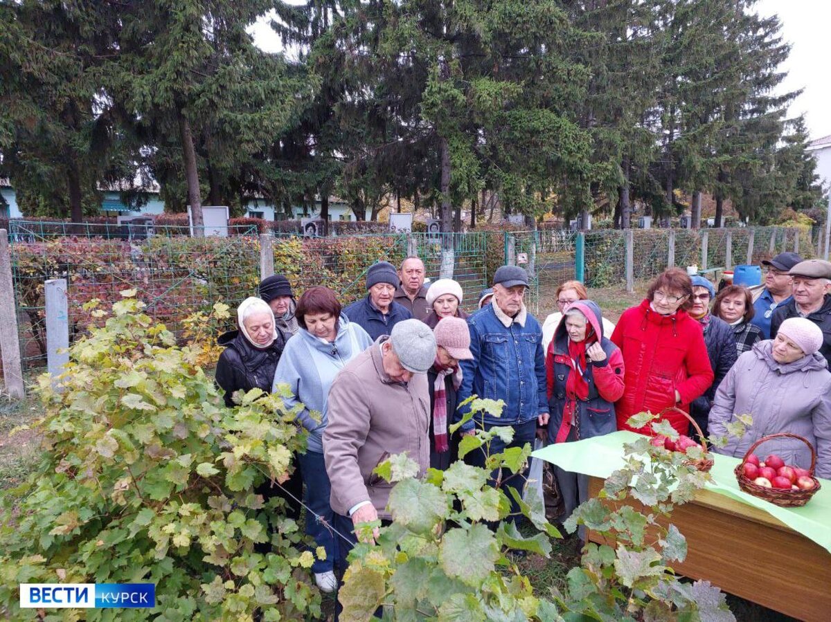    У студентов "Университета для людей старшего возраста" начались занятия по садоводству и виноградарству