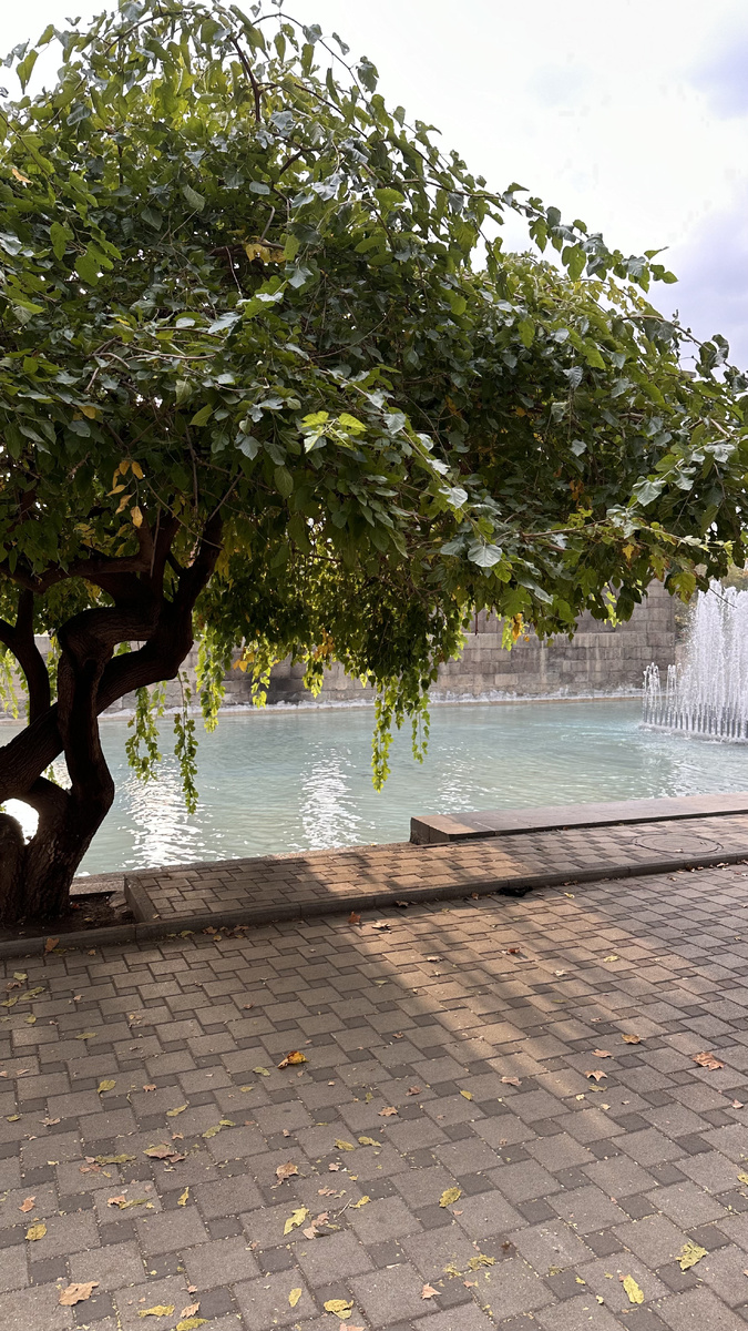 Рядом с площадью республики, Ереван, Армения