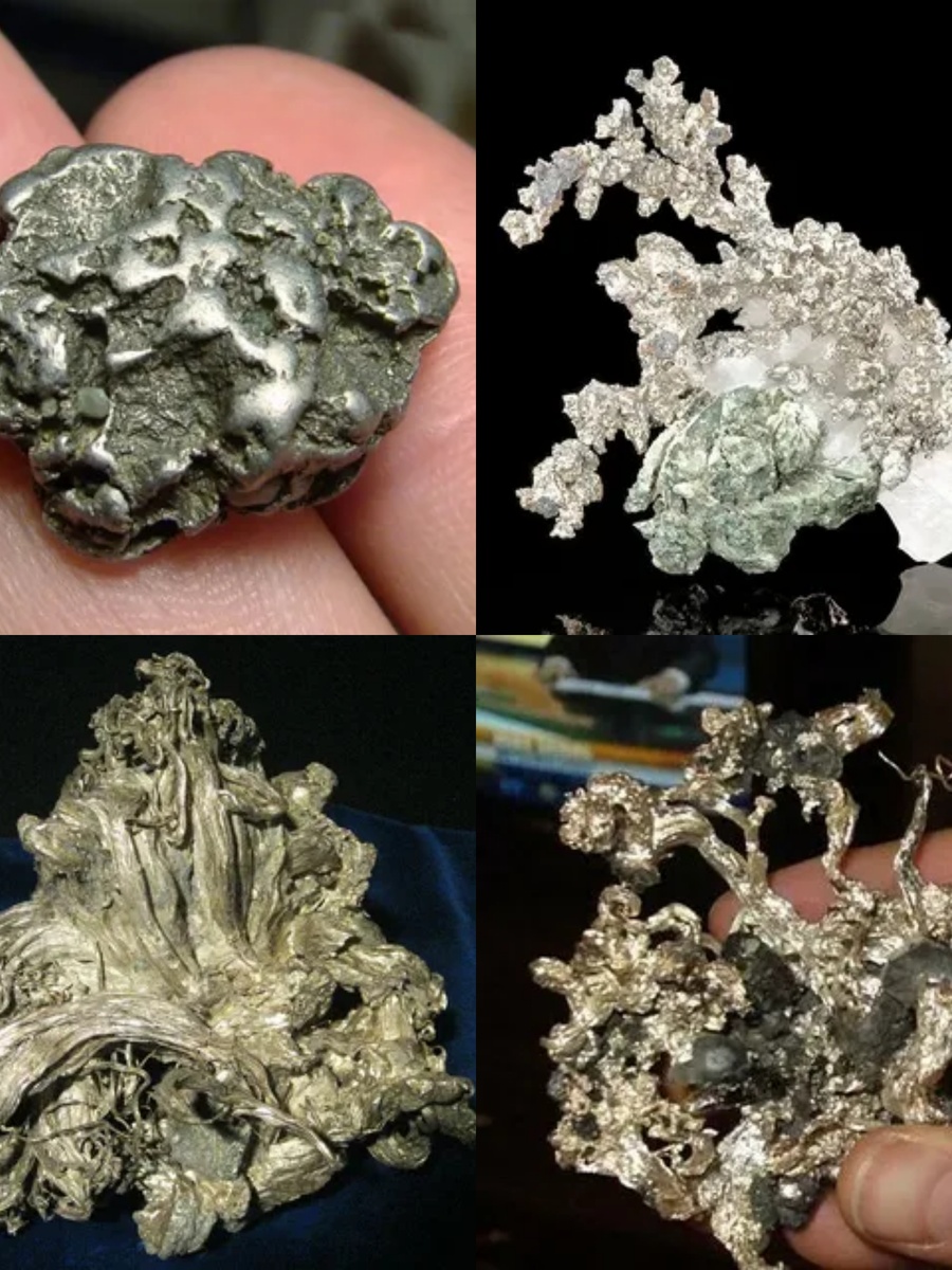 Фотоколлаж автора статьи 