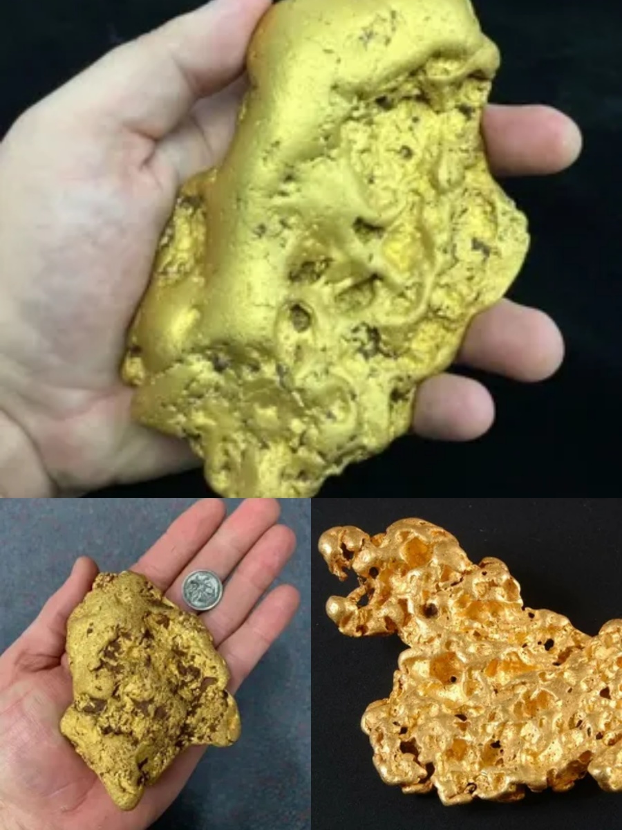 Фотоколлаж автора статьи 