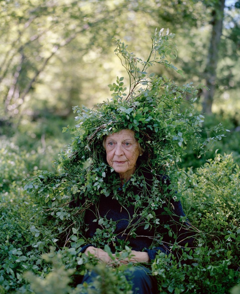 Источник: сайт Colossal / фото: сайт проекта