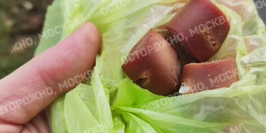 Фото: телеграм-канал "Осторожно, Москва" 