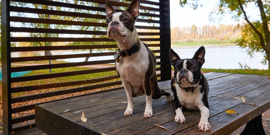 Фото: портал мэра и правительства Москвы/Максим Денисов 