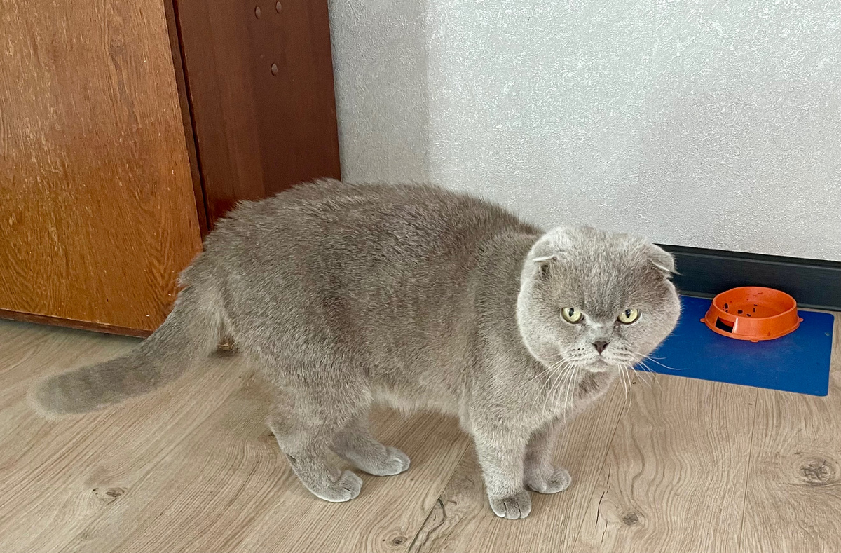Фото из семейного архива
