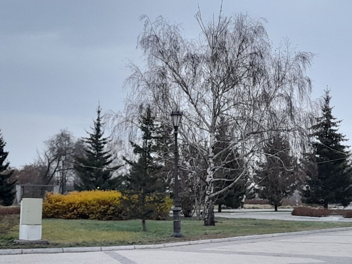 Фото автора.  На прогулке