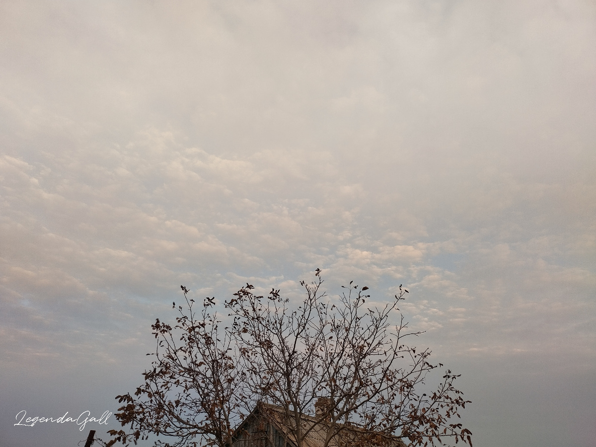 Розоватые облачка